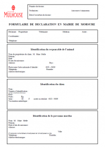 Déclaration de morsure